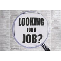 Jobs For Freshers &  Experienced logo