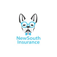 New South Insurance Group logo