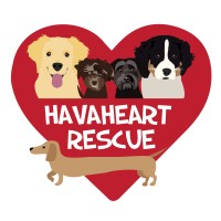 HavaHeart Rescue logo