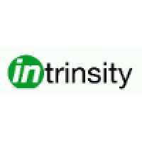 Intrinsity logo