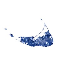 True Island Digital logo