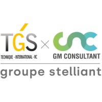 GM Consultant logo