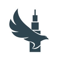 Silver Eagle Advisory Group logo