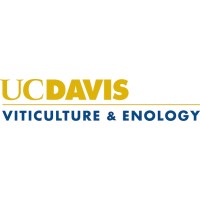 Department Of Viticulture And Enology At UC Davis logo