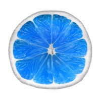 Blue Lime US logo