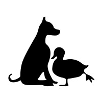 Image of DOG AND A DUCK