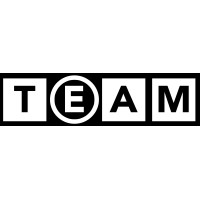 TEAM Services Group logo