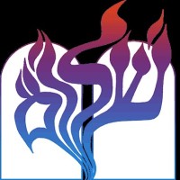Temple Shalom Of Chevy Chase MD logo