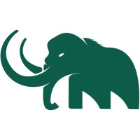 Mammoth Cyber logo