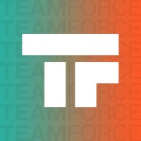TEAM FORCE LLC logo