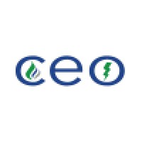 Consumer Energy Options, Inc logo