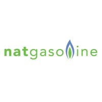 Natgasoline LLC. logo