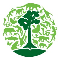 Borneo Nature Foundation logo