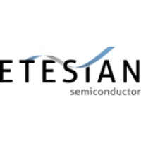 ETESIAN Semiconductor Ltd logo