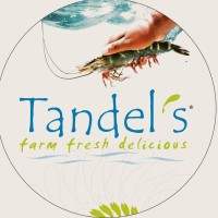 Tandel's logo