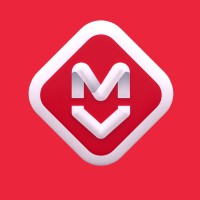 მაგნიტი • Magniti logo