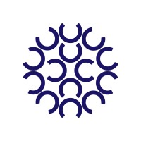 Syrian Professional Network logo