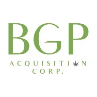 BGP Acquisition Corp logo