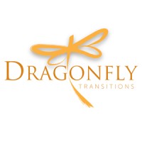 Dragonfly Transitions logo
