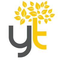 Yellow Tree Executive Search logo
