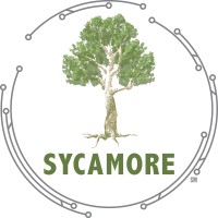 Sycamore International Inc. logo