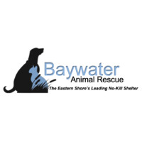 Baywater Animal Rescue logo