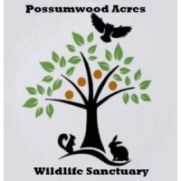 Possumwood Acres Wildlife Sanctuary logo