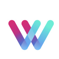 Wise LLC logo