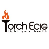 Shenzhen Torch Technology Co., Ltd logo