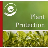 Plant Protection logo