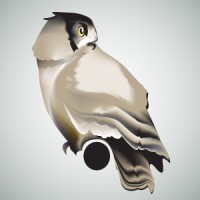 Night Owl Support Systems LLC logo