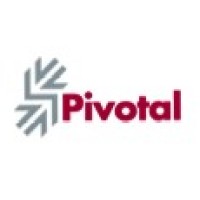 Pivotal Capital Advisory Group logo