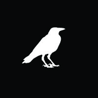 11 Ravens logo