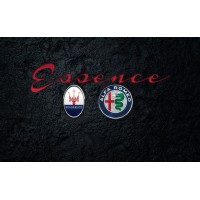 Momentum Maserati Alfa Romeo logo
