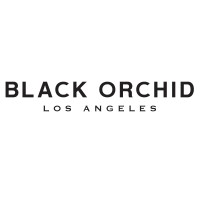 Black Orchid Denim logo