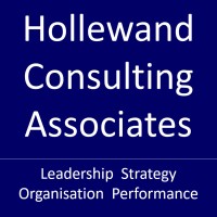 Hollewand Consulting Associates Pty Ltd logo