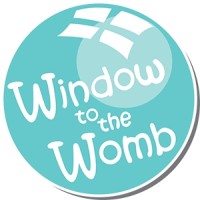 Image of Window To The Womb