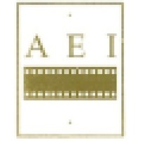 American Entertainment Investors, Inc. logo