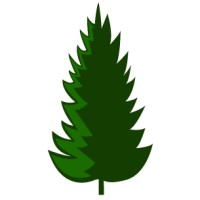 Pine Valley Capital Partners logo