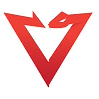 PacketViper logo