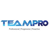 TEAMPRO HR & IT Services Pvt. Ltd logo