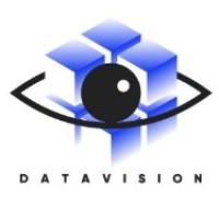 Data Vision logo