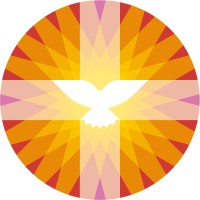 Protestantse Kerk in Nederland logo
