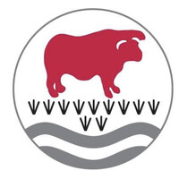 The Bulmershe School logo