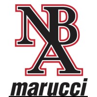Natural Baseball Academy logo