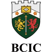 BCIC Ltd. logo