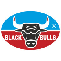 Black Bulls Grease & Lubricants Manufacturing LLC. logo