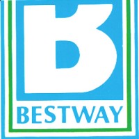 Bestway Group logo