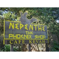 Nepenthe/Phoenix Corporation logo