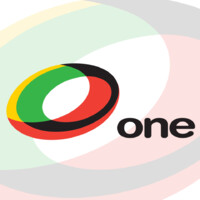 One Risk Group, LLC logo